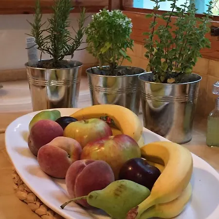 Melli Semesterbostad *